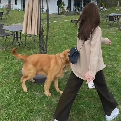 上帝帮助女孩